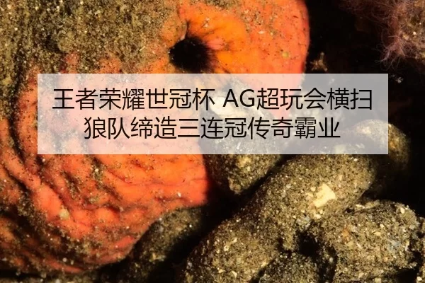 wang-zhe-rong-yao-shi-guan-bei-chao-wan-hui-heng-sao-lang-dui-di-zao-san-lian-guan-chuan-qi-ba-ye-2-839.jpg